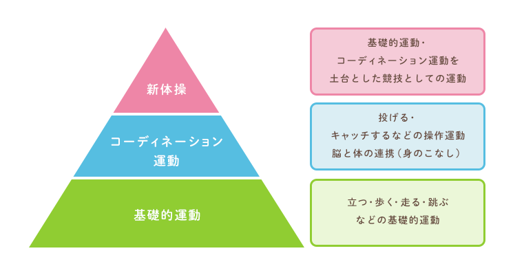 運動神経の基本は子どもの時期にできあがる