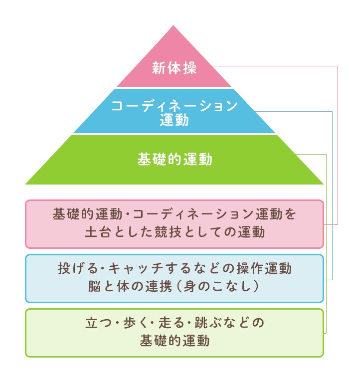 運動神経の基本は子どもの時期にできあがる